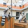 Spider Lemur Papercraft, Lowpoly Papercraft, Fovea - Papercraft - Nonitt