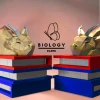 Dragon in Book Low Poly Papercraft Template Pepakura PDF DIY Handmade