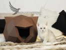 Animal House Low Poly Papercraft, Paper Sculpture, Low Poly PDF Template, DIY Decor & Gift