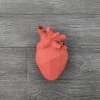 Papercraft Human Heart Template – Low Poly 3D Model