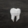 3D Papercraft Tooth Sculpture: Low Poly DIY Template (PDF)
