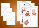 Fox papercraft PDF template DIY