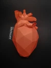 Papercraft Human Heart Template – Low Poly 3D Model