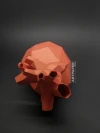 Papercraft Human Heart Template – Low Poly 3D Model