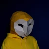 Owl Mask Paper Craft, Digital Template, Origami, PDF Download DIY, Low Poly, 3D Mask,Halloween Mask