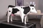 Cow: Digital Files for Papercraft. Printable PDF Template. 3d Origami Low Poly Model DIY.