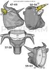 Bull Gift box Low Poly Papercraft PDF template Model Sculpture