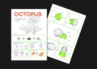 Octopus Digital Template, Octopus PDF Paper Craft, Octopus Origami, Octopus Model