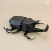 Horn Beetle paper model ,Papercraft , DIY , Low poly , PDF Papercraft , Unicorn Beetle , Dynastinae , Rhinoceros Beetle