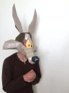 WILE E COYOTE Mask DIY, Looney Tunes Papercraft