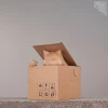 Peek Over Cat paper Model , Papercraft , DIY , Low poly , Fat Cat Model , PDF Papercraft , Peek Over Catt Cat , Cat low poly