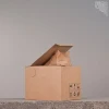 Peek Over Cat paper Model , Papercraft , DIY , Low poly , Fat Cat Model , PDF Papercraft , Peek Over Catt Cat , Cat low poly