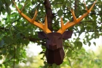 Papercraft 3D DEER HEAD horns TYPE2 pepakura PDF template Low Poly Paper Sculpture DiY gift Decor for crismass pattern polygonal anmals