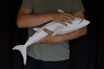 Shark lowpoly papercraft model DIY, simply Download and make your own, Instant Pdf download, printable DIY pdf template