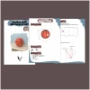 Sport ball pack 3D papercraft | DIY paper sculpture | Paper model pattern | Do it yourself | Low poly | PDF pattern | origami | home decor