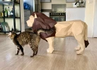 Lion (one piece) papercraft. You get PDF digital file templates and instructions for this DIY modern paper sculpture.