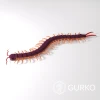 Scolopendra Papercraft, Centipede, Digital Template, PDF Download, Gurko, 3D Low Poly, Pepakura, DIY Origami Sculpture, Paper Decor, Gift