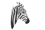 Stunning Wall-Mounted Zebra Sculpture in 3D Polygonal Papercraft Style – Modern, Artistic Home Decor