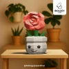 Flower Pack kit Low Poly Papercraft Template Pepakura PDF DIY Handmade