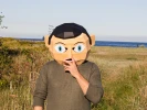 Make your own Frank Sidebottom Mask, DIY Paper Craft Template, DIY Paper Masks,Low Poly Mask, Gift Idea For Him, Frank Sidebottom Head