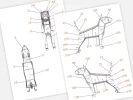 Bull Terrier Polygonal Sculpture, Low Poly Animal. PDF Template