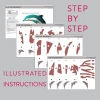 Dolphin 3D Wall Decor Low poly Papercraft, DIY, PDF