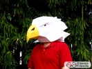 Eagle Mask - Make Your Own Animal Mask with just Paper and Glue! | Paper Mask | DIY Mask | Mascot | Halloween Mask