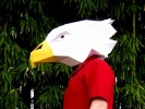 Eagle Mask - Make Your Own Animal Mask with just Paper and Glue! | Paper Mask | DIY Mask | Mascot | Halloween Mask