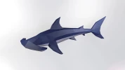 Hammerhead Shark Papercraft, 3D Papercraft, Build Your Own Low Poly Paper Sculpture PDF Download DIY gift, Wall Decor for home, Cricut svg
