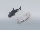 Shark 3D Low poly Papercraft, DIY, PDF