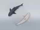 Shark 3D Low poly Papercraft, DIY, PDF