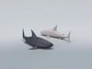 Shark 3D Low poly Papercraft, DIY, PDF
