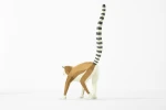 Lemur Polygonal Sculpture, Low Poly Animal. PDF Template