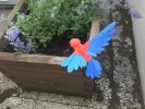 Coolibris (Colibri Hummingbird) Papercraft, Lowpoly Papercraft, Fovea - Papercraft - Nonitt