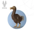Papercraft 3D 2 DODO pack template handmade