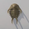 Trilobita