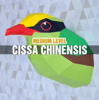 DIY Cissa Chinensis Papercraft Template Low Poly Green Magpie 3D Model Instant Download PDF Bird Paper Sculpture