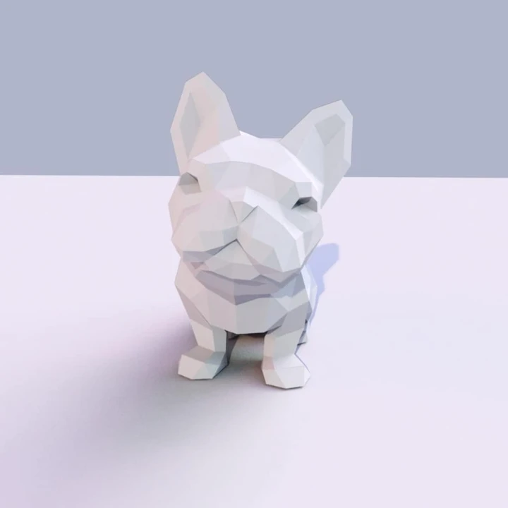 French Bulldog
