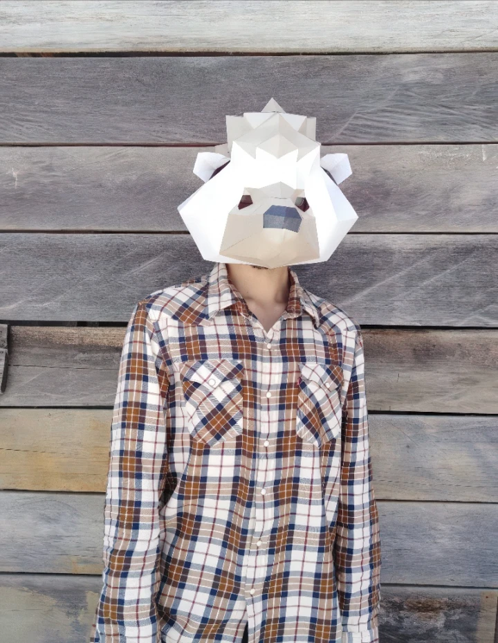 HEDGEHOG Mask DIY, Lowpoly Papercraft