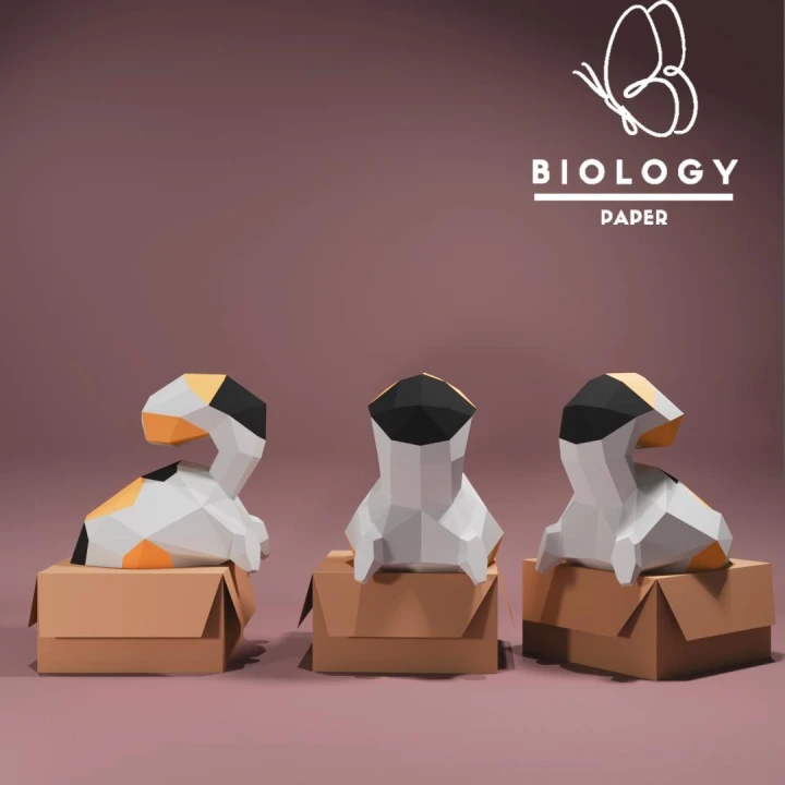 Cat in a box Low Poly Papercraft Template Pepakura PDF DIY Handmade