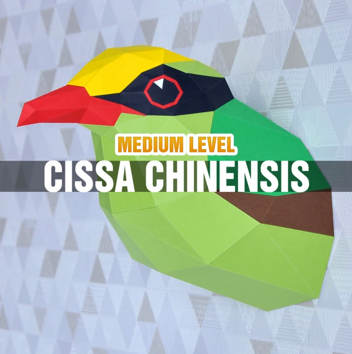 DIY Cissa Chinensis Papercraft Template Low Poly Green Magpie 3D Model Instant Download PDF Bird Paper Sculpture