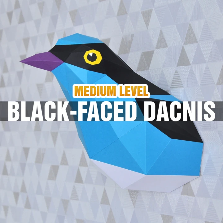 DIY Black Faced Dacnis Papercraft Template Low Poly 3D Bird Model Instant Download PDF Paper Sculpture Home Decor