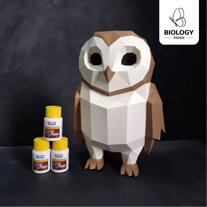 Owl Kawaii Low Poly Papercraft Template Pepakura PDF DIY Handmade Owl Kawaii Low Poly Papercraft Template Pepakura PDF DIY Handmade