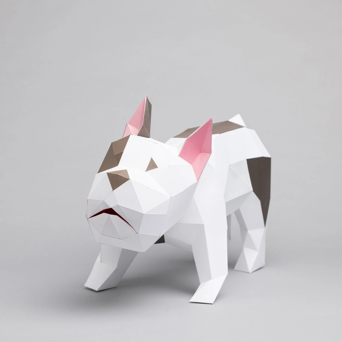 Bulldog papercraft. (Boston terrier) get PDF digital template and instructions for this DIY (do it yourself) paper sculpture.