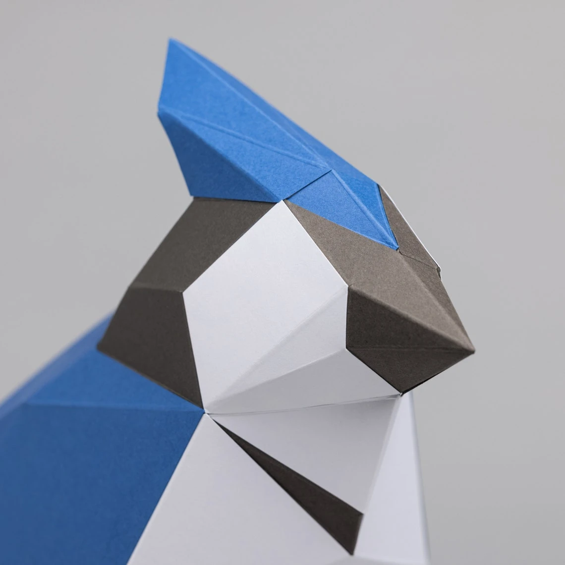 Blue Jay bird 3D Papercraft. You get PDF digital file templates and instructions for these DIY lowpoly paper sculpture.