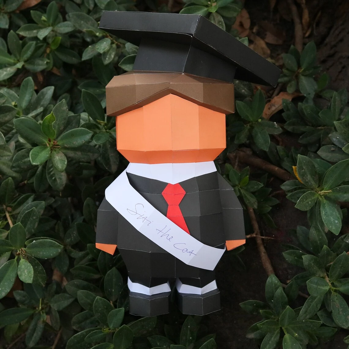 Graduation boy 3D papercraft | DIY paper sculpture | Paper model pattern | Do it yourself | Low poly | PDF pattern | origami | home decor