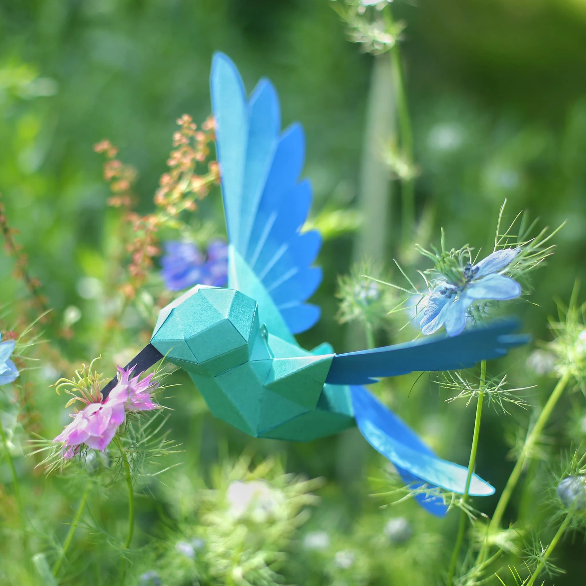 Coolibris (Colibri Hummingbird) Papercraft, Lowpoly Papercraft, Fovea - Papercraft - Nonitt