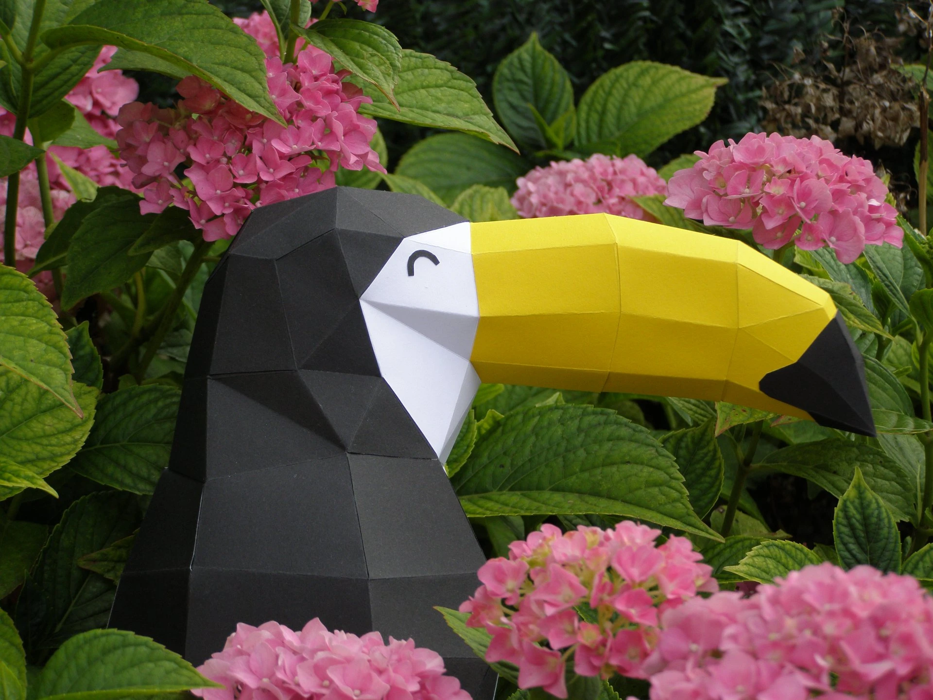 Toutican (Toucan) Papercraft, Lowpoly Papercraft, Fovea - Papercraft - Nonitt