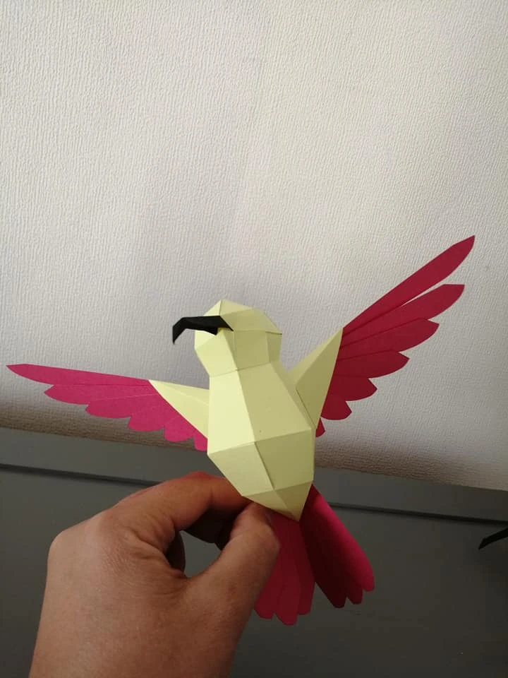 Coolibris (Colibri Hummingbird) Papercraft, Lowpoly Papercraft, Fovea - Papercraft - Nonitt