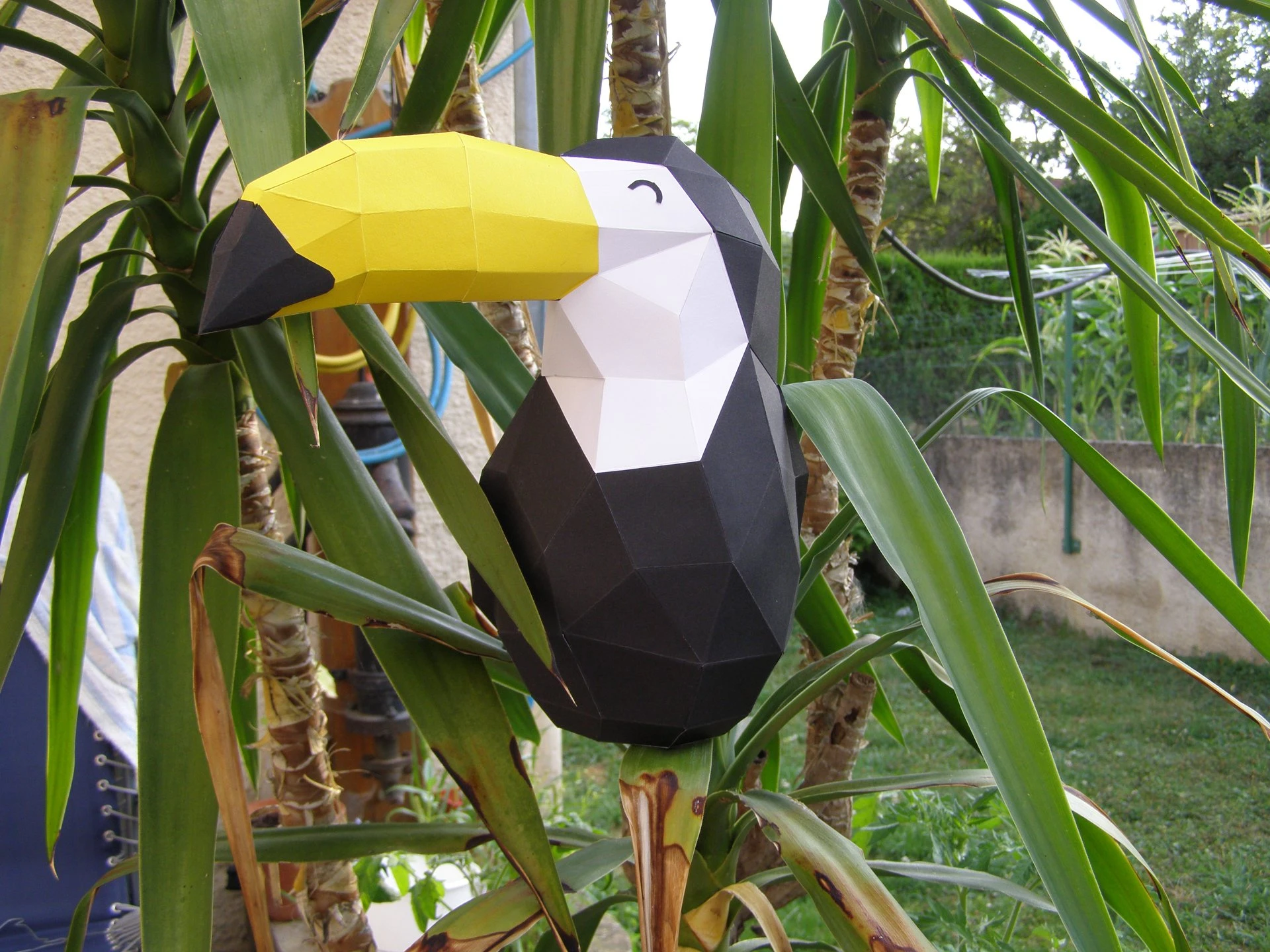 Toutican (Toucan) Papercraft, Lowpoly Papercraft, Fovea - Papercraft - Nonitt